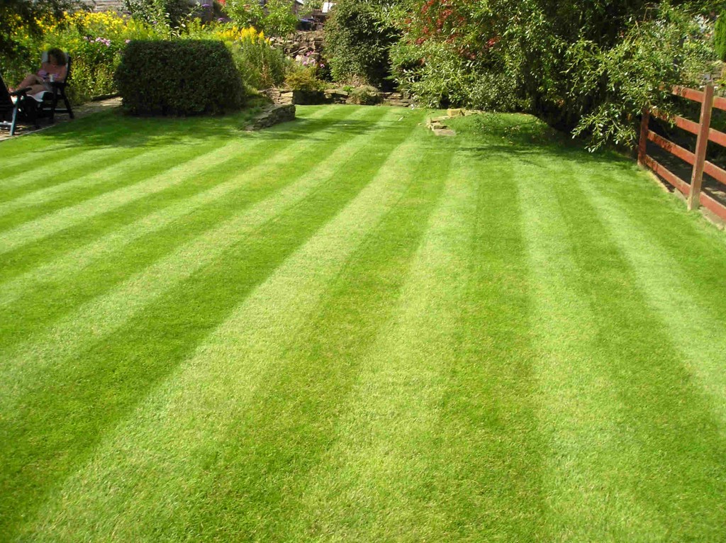 Grass Cutting Customer in Troy, Michigan