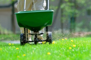 Lawn Fertilization Birmingham MI