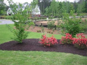 Mulch Birmingham MI