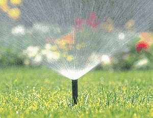 Sprinkler System Maintenance Birmingham and Troy Michigan