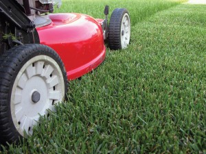 Lawn Mowing Company in Michigan for 2011