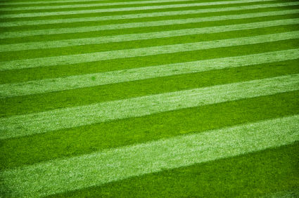 beverly hills, birmingham, Birmingham MI, bloomfield mi, clawson, Clawson MI, fertilization, grass cutting, landscape, lawn, Lawn maintenance, lawn mowing, lawnmowing, Rochester, royal oak, Royal Oak MI, shelby township, spring cleanup, sterling heights, troy, Troy MI, turf maintenance Troy Michigan Lawn Maintenance Service Client