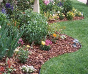 Spring Clean Up and Yard Cleaning Services