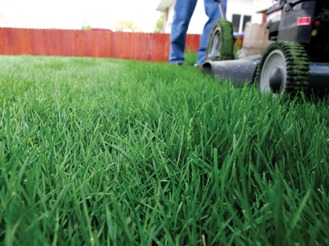 Lawn Care, Bloomfield, Clawson, Beverly Hills, Bloomfield, Birmingham, Rochester, Troy