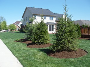 Mulch Installation - Cedar, Pine, Double Shredded Hardwood Bark Mulch