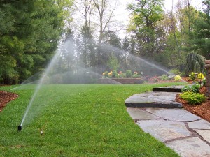 Sprinkler System Blowout and Winterization for Troy MI