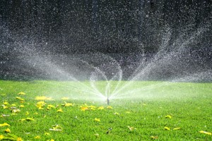 sprinkler